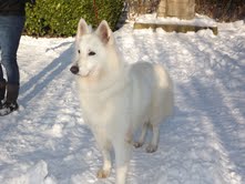 Publication : du domaine de l'Escaut