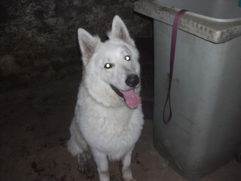 Publication : du domaine de l'Escaut