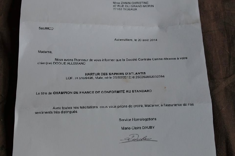 CH. Hartur des saphirs d'atlantis - champion de france 2014