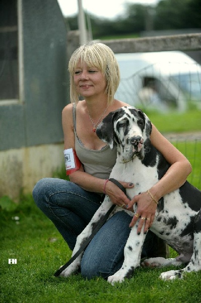 CH. Hartur des saphirs d'atlantis - tres prometteur " ring d'honneur "