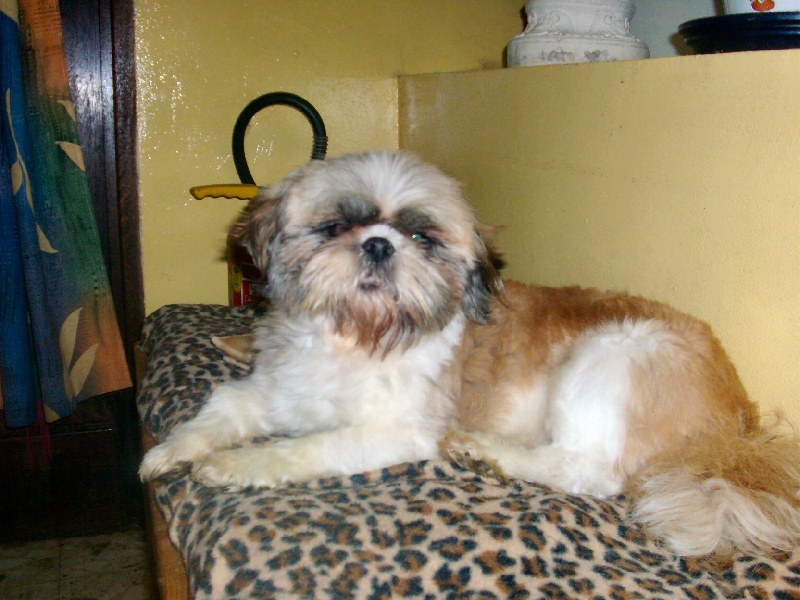 Publication : (Sans Affixe)