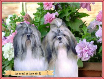 Publication : (Sans Affixe)