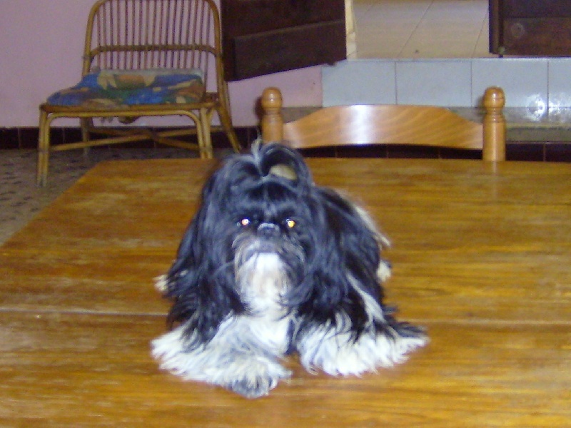 Publication : (Sans Affixe)