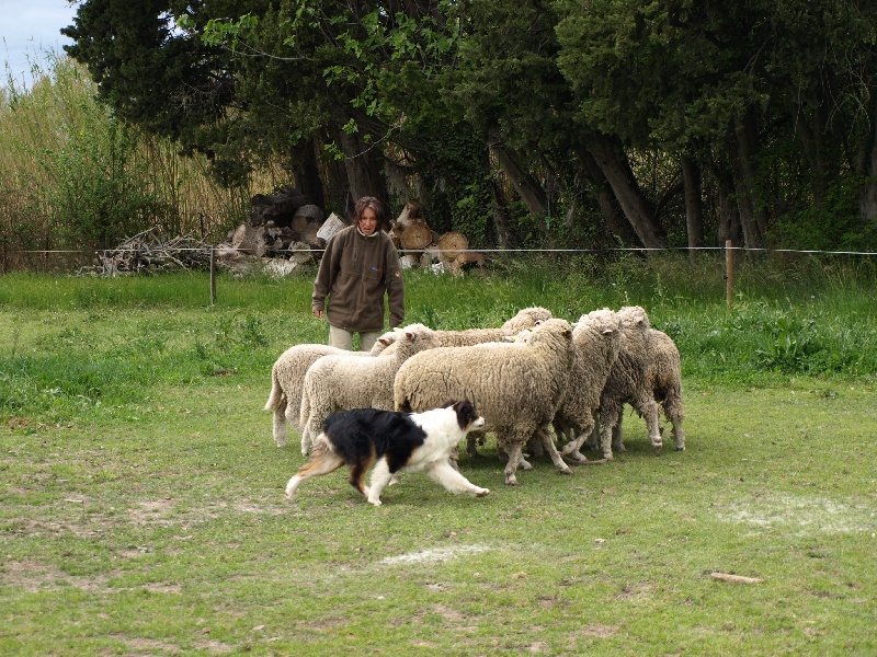 Publication : Of windjana ridge Auteur : Etancelin isabelle