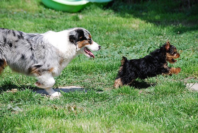 Publication : Of windjana ridge Auteur : Etancelin isabelle