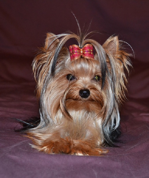 Publication : Of windjana ridge Auteur : etancelin isabelle