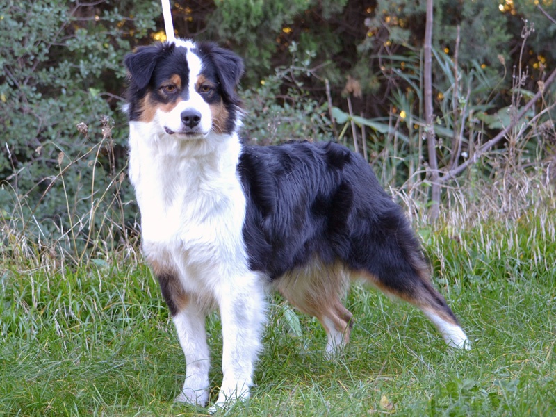 Publication : Of windjana ridge Auteur : Etancelin isabelle