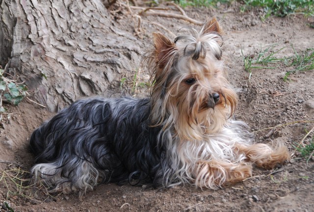 Publication : Of windjana ridge Auteur : Etancelin isabelle