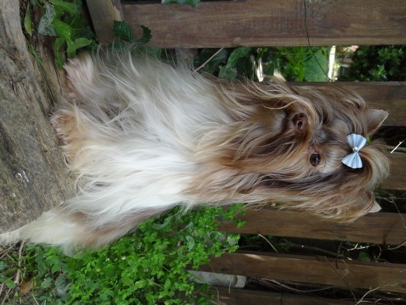 Publication : Of windjana ridge Auteur : etancelin isabelle