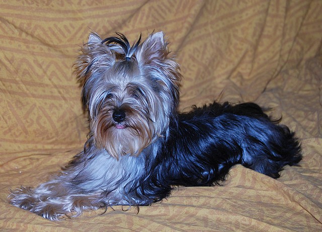 Publication : Of windjana ridge Auteur : Etancelin isabelle