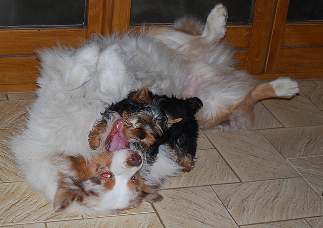 Publication : Of windjana ridge Auteur : Etancelin isabelle