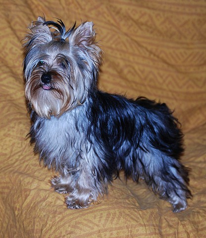 Publication : Of windjana ridge Auteur : Etancelin isabelle