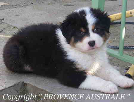 Publication : Of windjana ridge Auteur : Etancelin isabelle