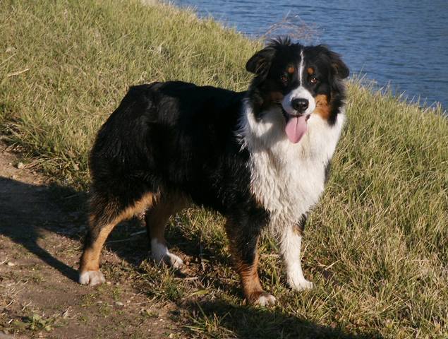 Publication : Of windjana ridge