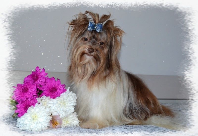 Publication : Of windjana ridge Auteur : etancelin isabelle