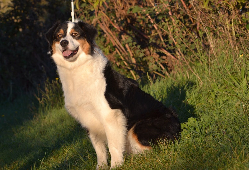 Publication : Of windjana ridge Auteur : Etancelin isabelle