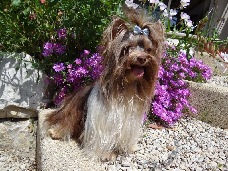 Publication : Of windjana ridge Auteur : etancelin isabelle