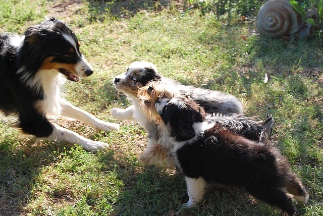 Publication : Of windjana ridge Auteur : Etancelin isabelle