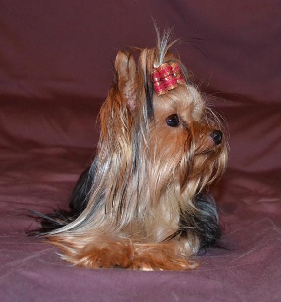 Publication : Of windjana ridge Auteur : etancelin isabelle