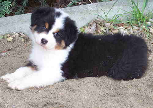 Publication : Of windjana ridge Auteur : Etancelin isabelle