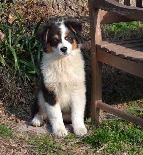 Publication : Of windjana ridge Auteur : Etancelin isabelle