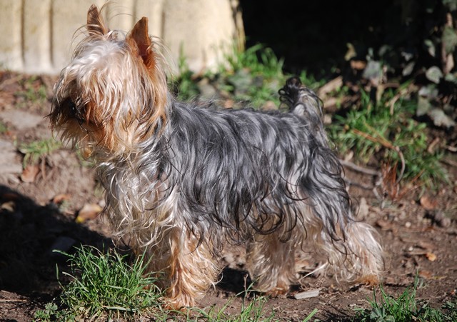 Publication : Of windjana ridge Auteur : Etancelin isabelle