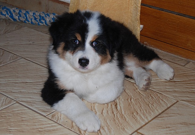 Publication : Of windjana ridge Auteur : Etancelin isabelle