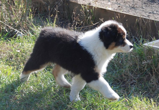 Publication : Of windjana ridge Auteur : Etancelin isabelle