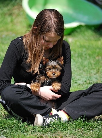 Publication : Of windjana ridge Auteur : Etancelin isabelle