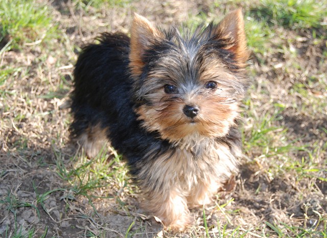 Publication : Of windjana ridge Auteur : etancelin isabelle