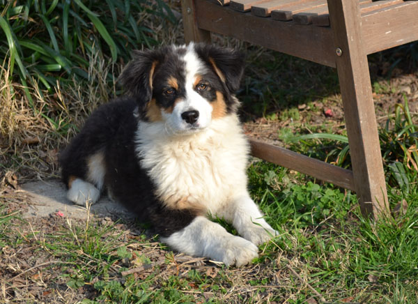 Publication : Of windjana ridge Auteur : Etancelin isabelle