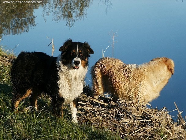 Publication : Of windjana ridge