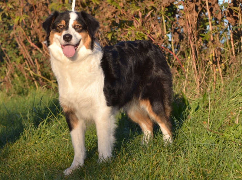 Publication : Of windjana ridge Auteur : Etancelin isabelle