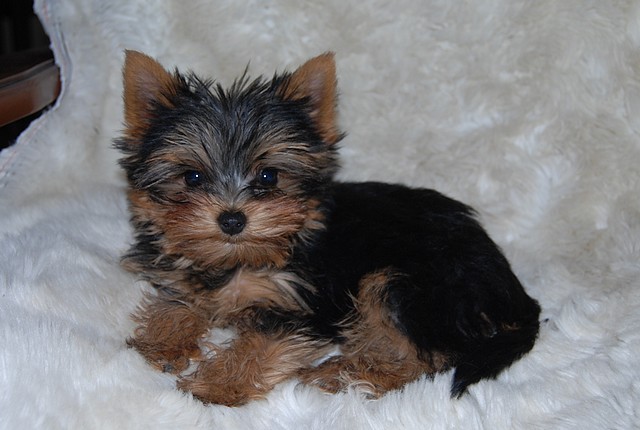 Publication : Of windjana ridge Auteur : etancelin isabelle