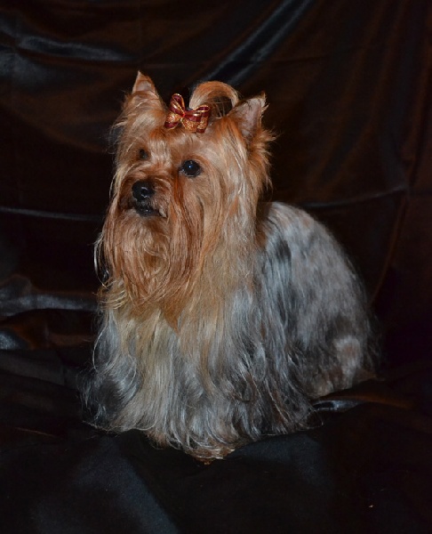 Publication : Of windjana ridge Auteur : Etancelin isabelle