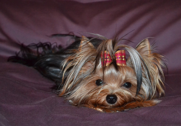 Publication : Of windjana ridge Auteur : etancelin isabelle