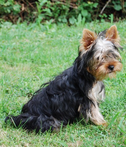 Publication : Of windjana ridge Auteur : Etancelin isabelle