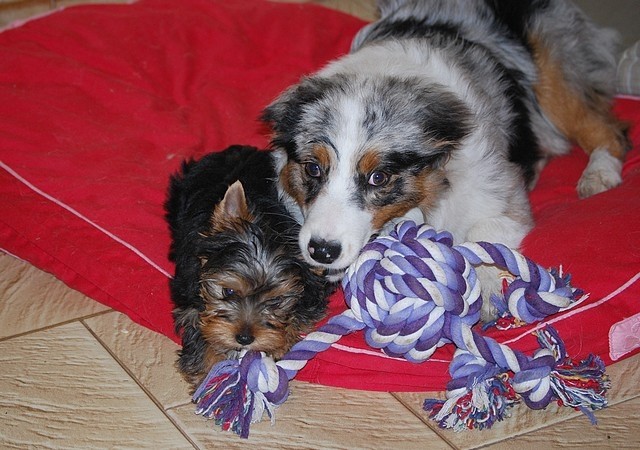 Publication : Of windjana ridge Auteur : Etancelin isabelle