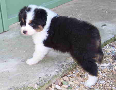 Publication : Of windjana ridge Auteur : Etancelin isabelle