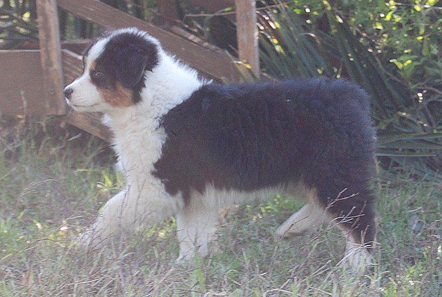 Publication : Of windjana ridge Auteur : Etancelin isabelle