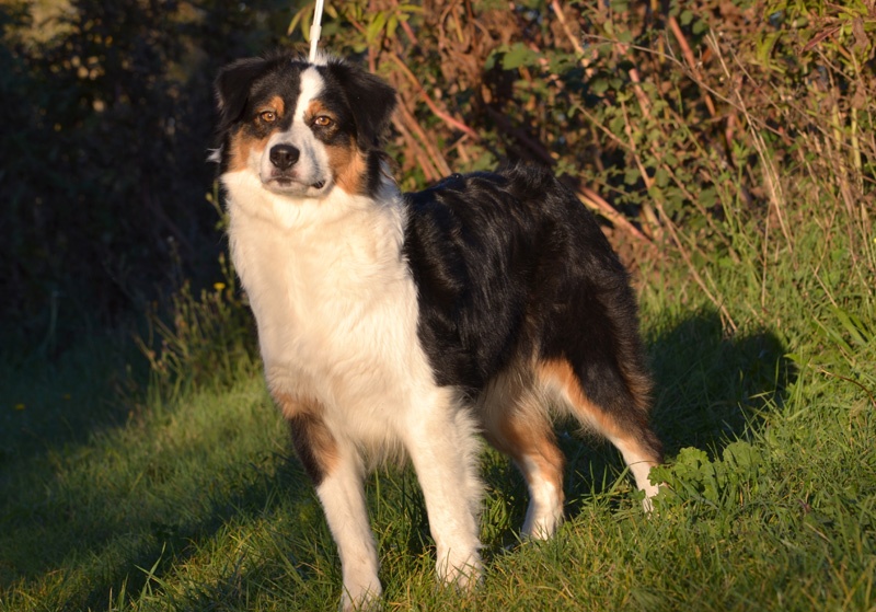 Publication : Of windjana ridge Auteur : Etancelin isabelle