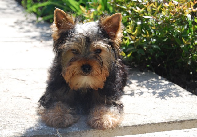 Publication : Of windjana ridge Auteur : Etancelin isabelle