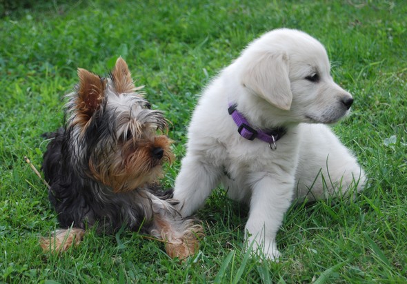 Publication : Of windjana ridge Auteur : Etancelin isabelle