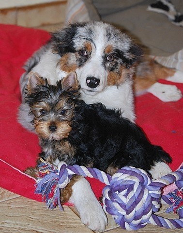 Publication : Of windjana ridge Auteur : Etancelin isabelle