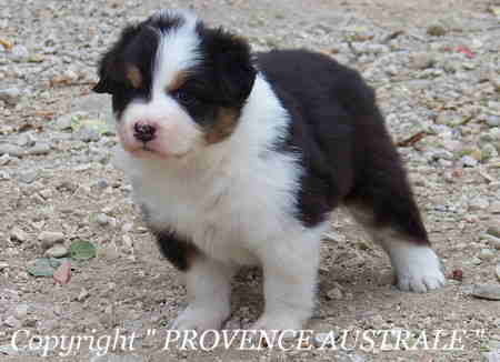 Publication : Of windjana ridge Auteur : Etancelin isabelle