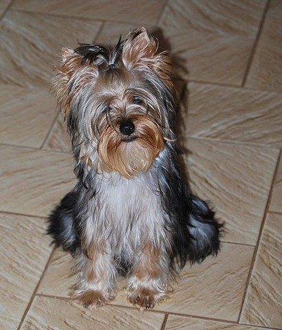 Publication : Of windjana ridge Auteur : Etancelin isabelle