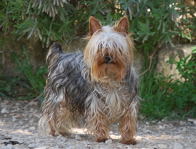 Publication : Of windjana ridge Auteur : Etancelin isabelle