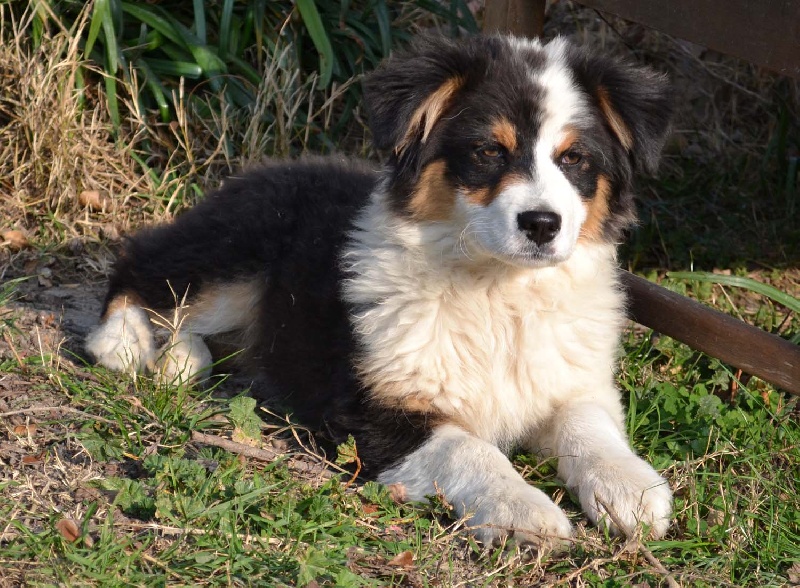 Publication : Of windjana ridge Auteur : Etancelin isabelle