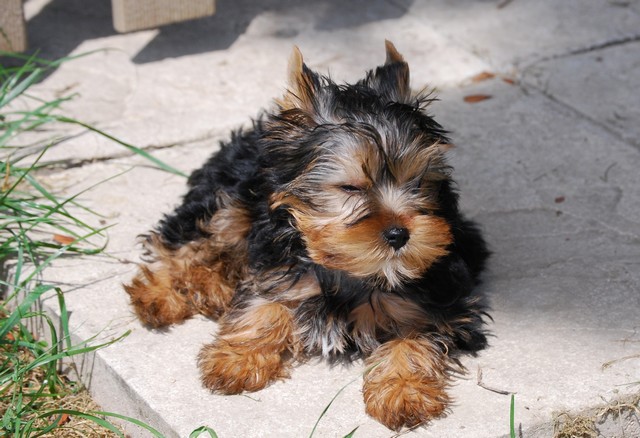 Publication : Of windjana ridge Auteur : Etancelin isabelle