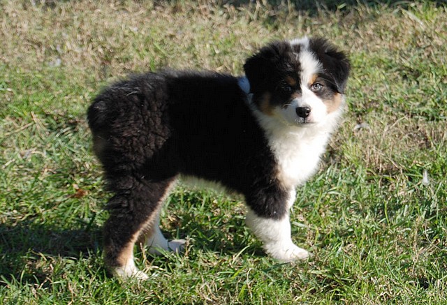 Publication : Of windjana ridge Auteur : Etancelin isabelle